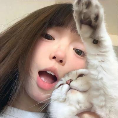 双子谜情